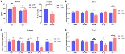 Effects of dietary Chinese herbal mixtures on productive performance, egg quality, immune status, caecal and offspring meconial microbiota of Wenchang breeder hens